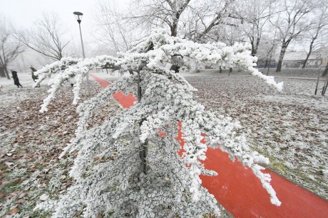 Téli futáspróbát tartanak a Halesz ligetben november 25-én délután